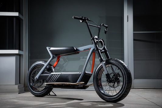 Elite Electric Bike RX220