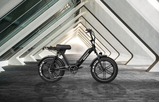 Regal Electric Bike Himiway Kenda